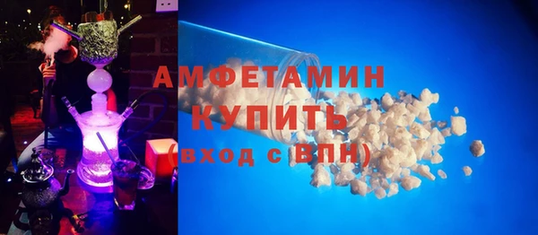 амф Гусев