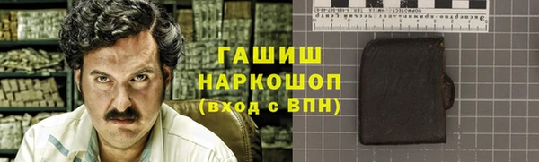 амф Гусев