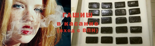 амф Гусев