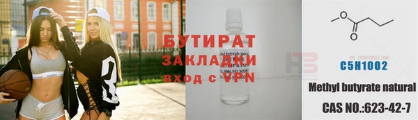амф Гусев