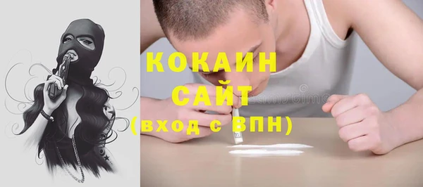 амф Гусев