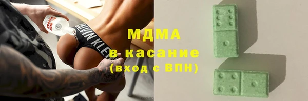 амф Гусев