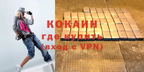 амф Гусев