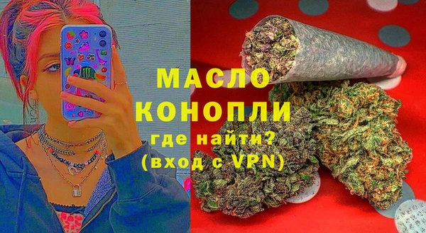 амф Гусев