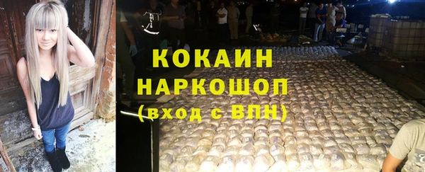 амф Гусев