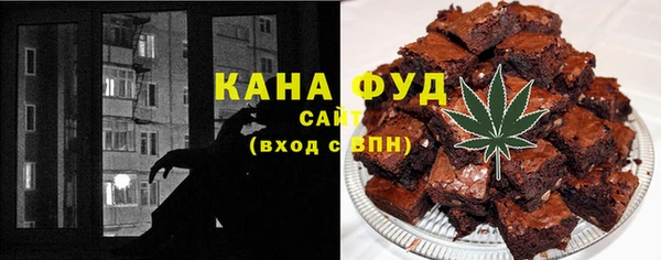амф Гусев