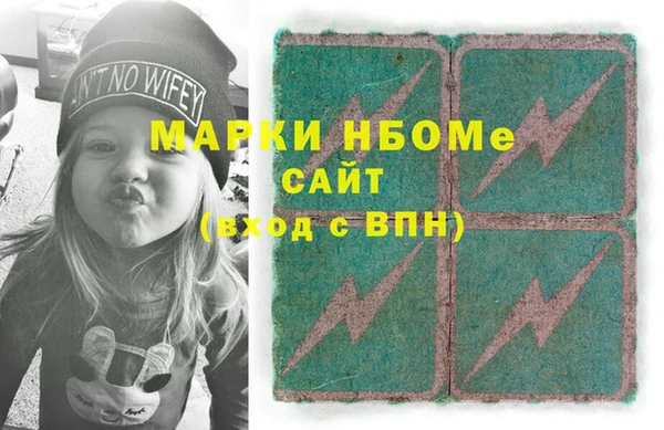 амф Гусев