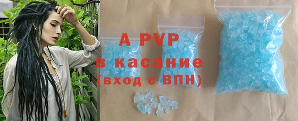 амф Гусев