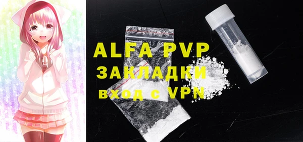 амф Гусев