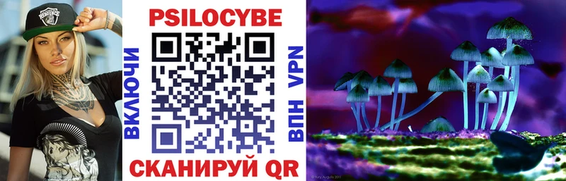 Галлюциногенные грибы мицелий  Горно-Алтайск 