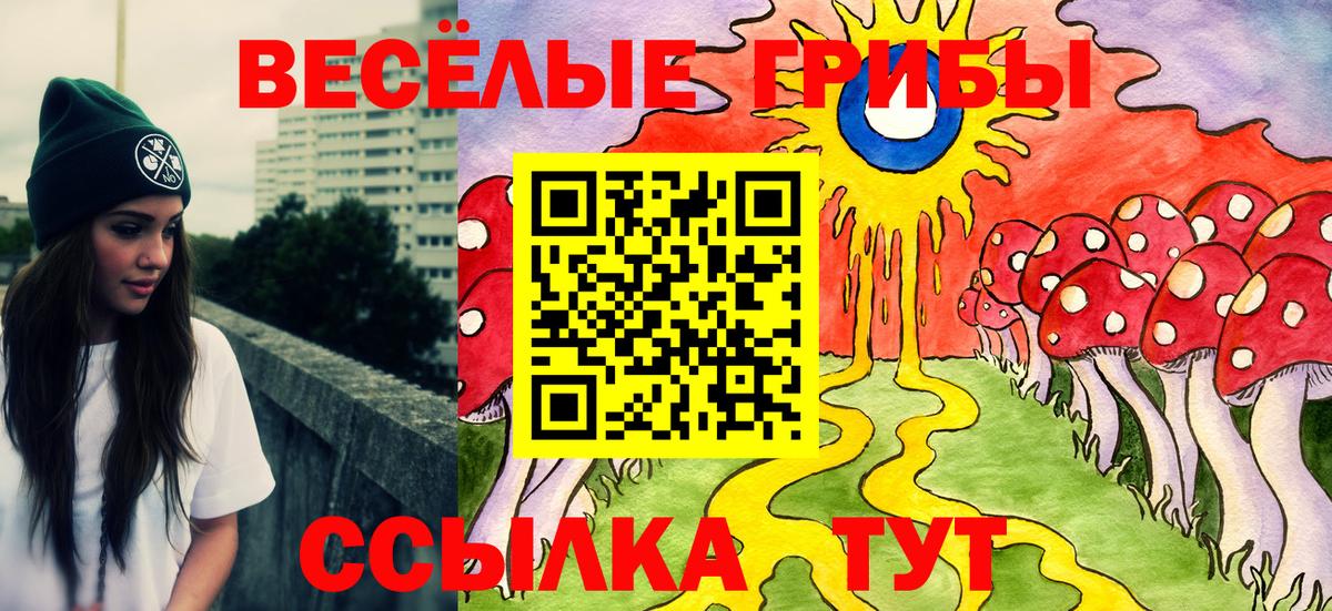 Псилоцибиновые грибы MAGIC MUSHROOMS  Вход с VPN  Горно-Алтайск  Псилоцибиновые грибы MAGIC MUSHROOMS 