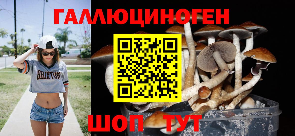 Галлюциногенные грибы MAGIC MUSHROOMS Горно-Алтайск