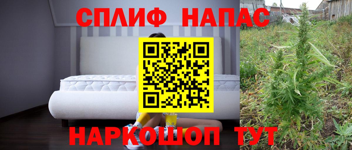 Марихуана сатива  Вход с VPN  Горно-Алтайск  Шишки марихуана OG Kush  Шишки марихуана планчик  МАРИХУАНА план 